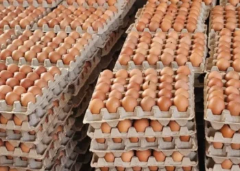 El producto comienza a escasear por los bloqueos/Archivo