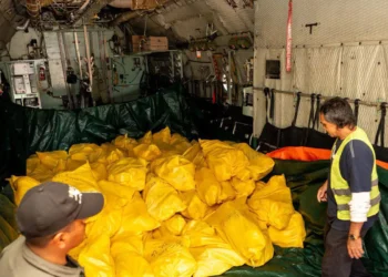 Cargamento de alimentos que llegó por puente aéreo. Foto: Viceministerio de Comercio y Logística