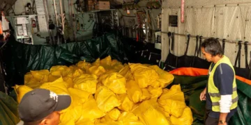 Cargamento de alimentos que llegó por puente aéreo. Foto: Viceministerio de Comercio y Logística