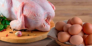 La carne de pollo y huevo para la exportación