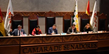 La 111ª Sesión Ordinaria con el ministro de Economía en sala. Foto: APG