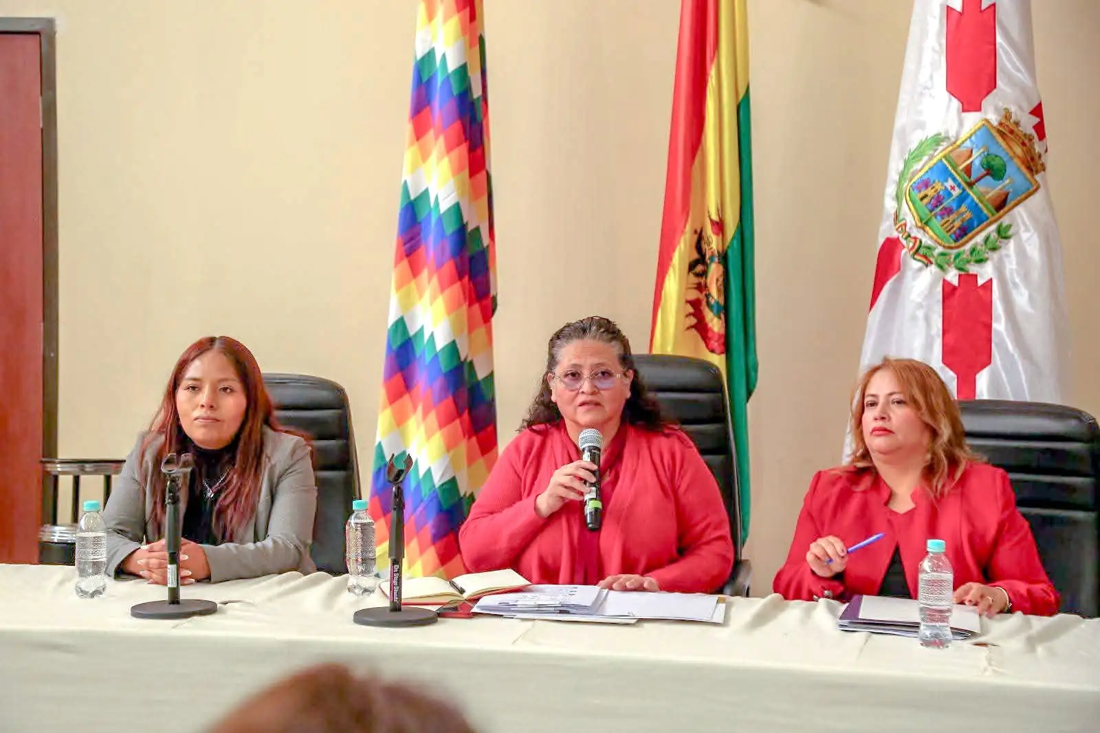 Una conferencia de prensa pasada de la ministra de Salud, Marcela Flores. FOTO: Ministerio de Salud