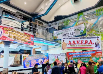 Algunas de las asociaciones que llegaron hasta la Casa Grande del Pueblo. Foto: RRSS.