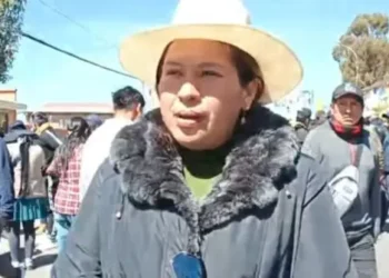 La dirigente vinculada al evismo/RRSS