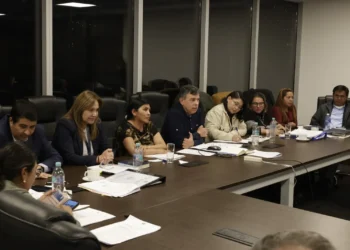 La Cámara de Senadores en sesión. Foto: Senado