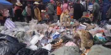 La acumulación de basura amenaza con una crisis sanitaria en La Paz y El Alto. FOTO: GAMEA