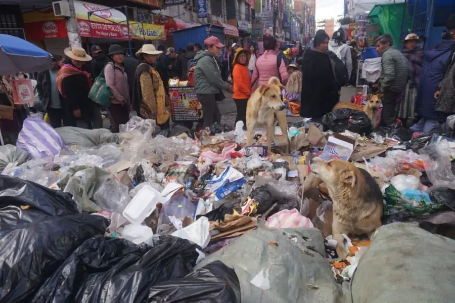La acumulación de basura amenaza con una crisis sanitaria en La Paz y El Alto. FOTO: GAMEA