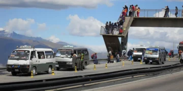 Imagen referencial. Foto: EA Bolivia