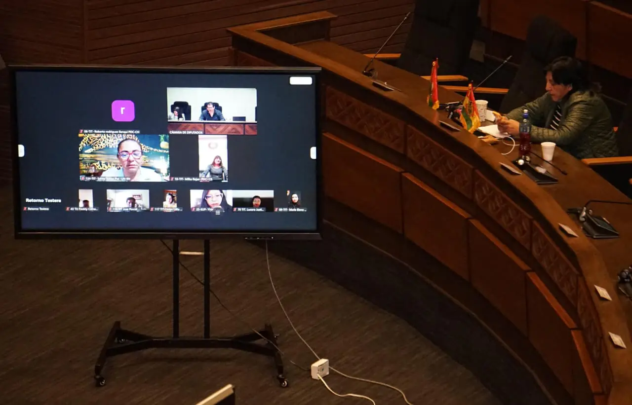 Sesión virtual de la Cámara de Diputados.
APG