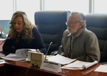 El presidente de la Comisión de Constitución de la Cámara de Diputados, Juan del Granado.
Foto: Comisión de Constitución.