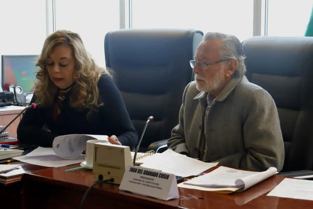El presidente de la Comisión de Constitución de la Cámara de Diputados, Juan del Granado.
Foto: Comisión de Constitución.