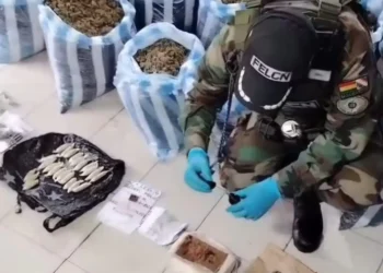 La droga incautada en Santa Cruz/FELCN