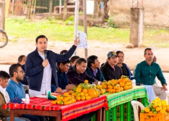 La reunión entre representantes del Gobierno y productores de frutas. Foto: Viceministerio de Comercio
