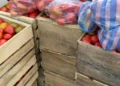 Se realiza un feria en el Cambodromo/Captura Unitel