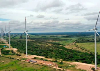 Parques eólicos en el oriente. Foto: ENDE
