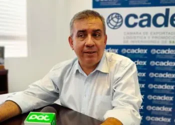 Martín Salces, gerente general de Cadex. Foto: PAT