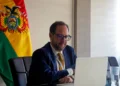 El viceministro de Comercio Exterior, Rodrigo Arce Ballivián. Foto: Cancillería
